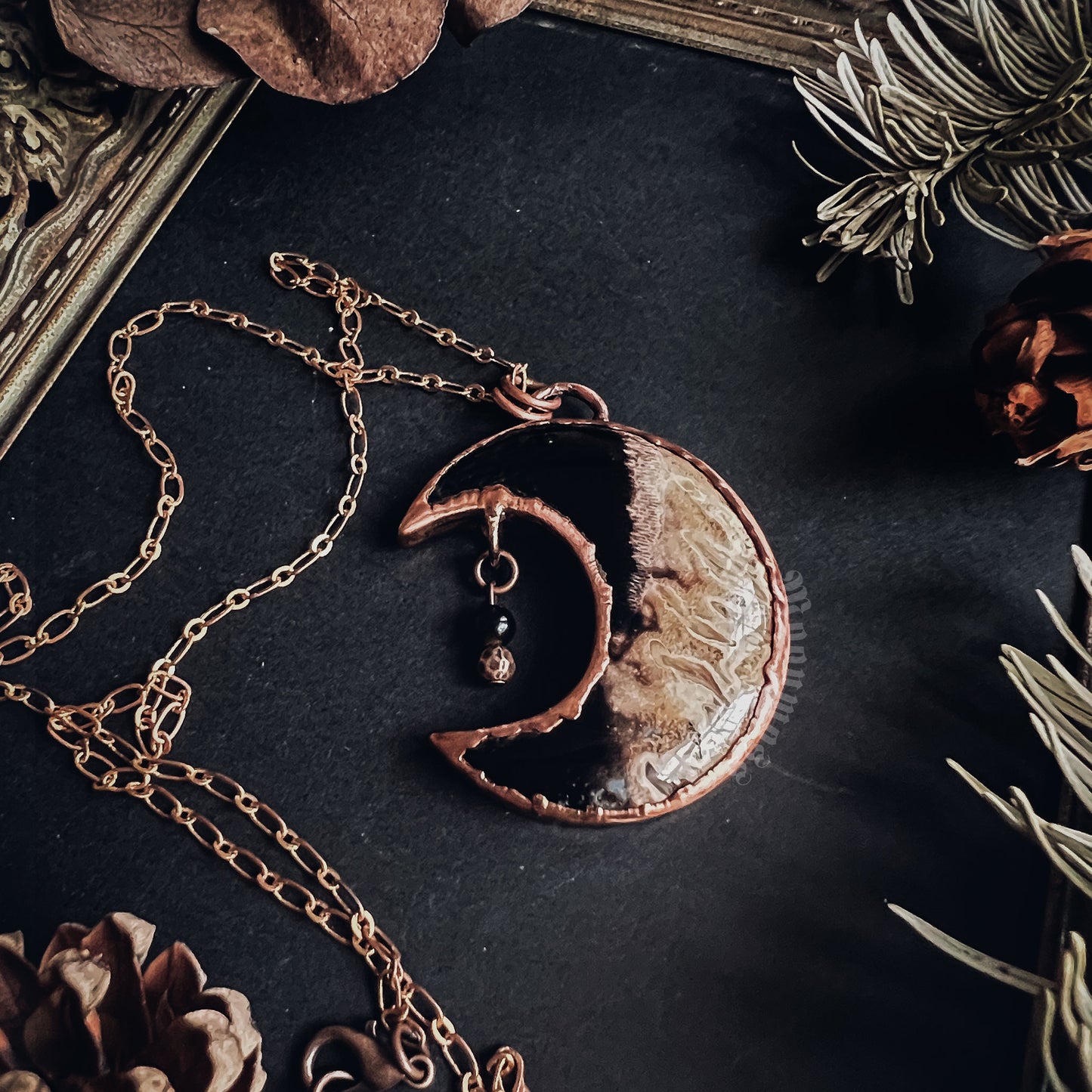 Fossil Palm Root Moon