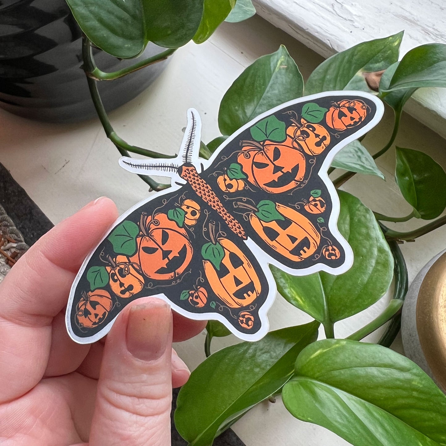 Pumpkin Moth Mirror Sticker
