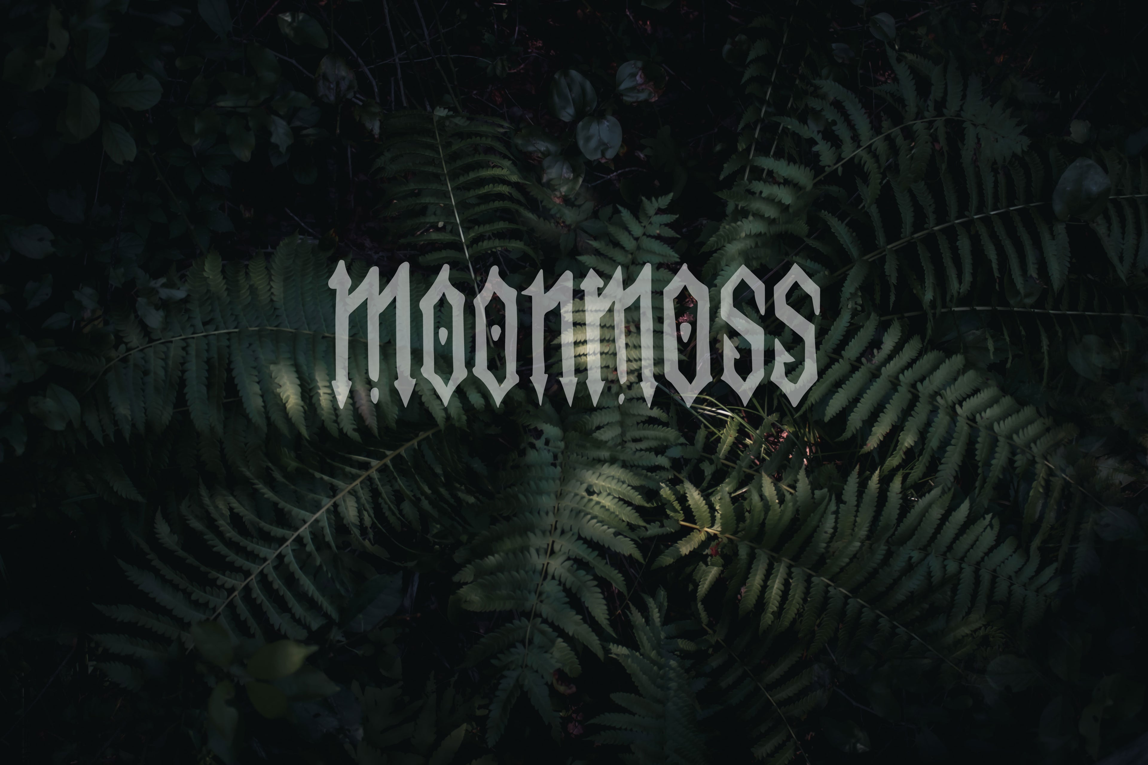 image of ferns with the word "moonmoss" in the center